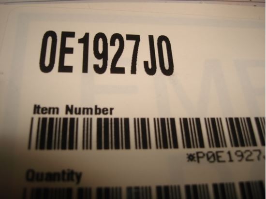 304451