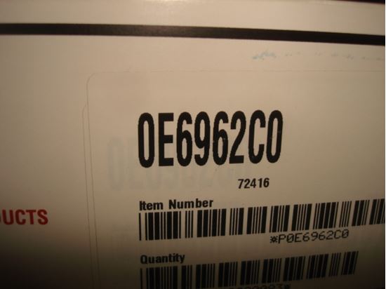 304492