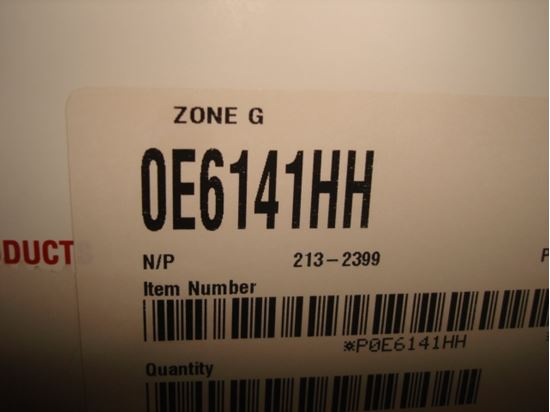 304495
