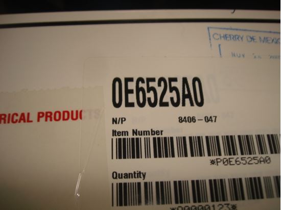 304498