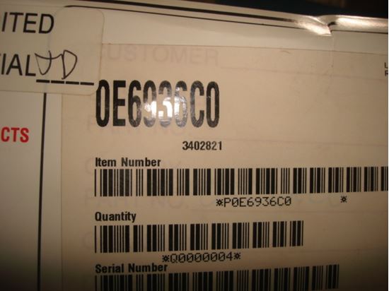 304506