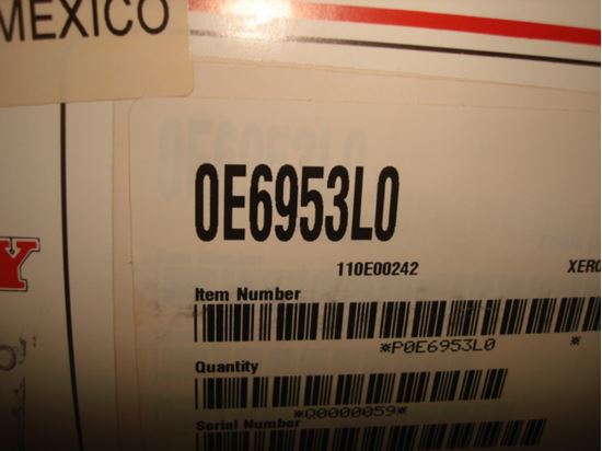 304513