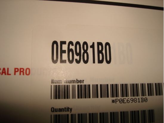 304516