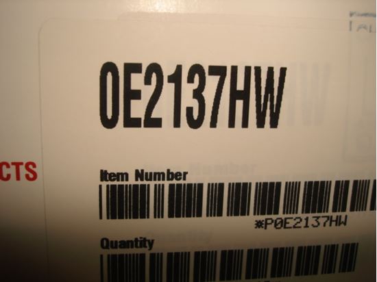 304456