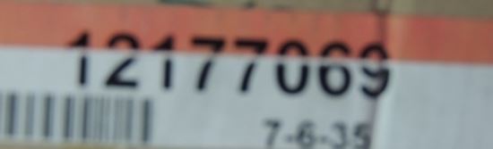 392889