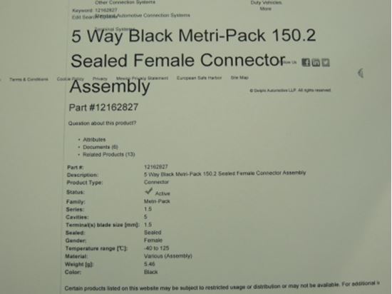 406054