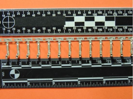 307154