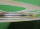 0805HT-47NTGBC
