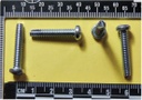 10-24 X 1 PAN HEAD E-LOBE TAPPING SCREWS