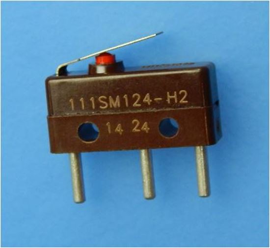 111SM124-H2