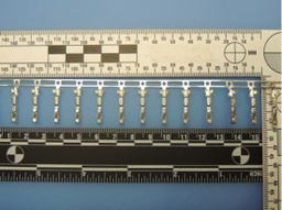 [331072] 12191818