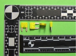 [348969] 0297020.WXNV