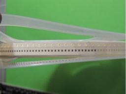 [385013] 0402CS-47NXJLW