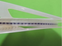 [385059] 0805HQ-5N6XKBC