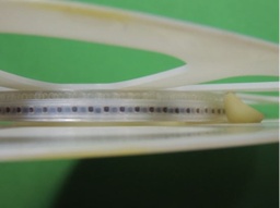 [384990] 0805HT-47NTGBC