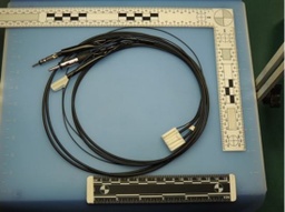 [413912] 0991-5631