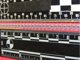 [463225] 1008HS-151TGBC