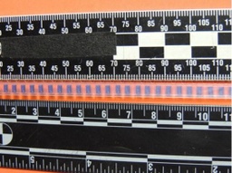 [432847] 1206CS-030XJBC