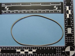 [388735] 1867-013000S-1298