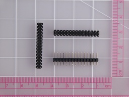 [X123123] 004.036.0000460